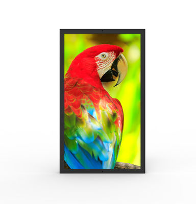 acheter Écran numérique commercial HDMI résistant à l'eau Moniteur ultra large de 49 pouces online manufacture