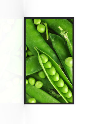 acheter 3000nits Display Advertiser étanche à l'eau fabrication en ligne